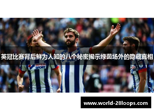 英冠比赛背后鲜为人知的八个秘密揭示绿茵场外的隐藏真相