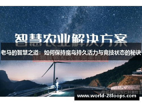 老马的智慧之道：如何保持魔鸟持久活力与竞技状态的秘诀